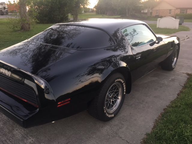 1979 Pontiac Firebird - photo 9