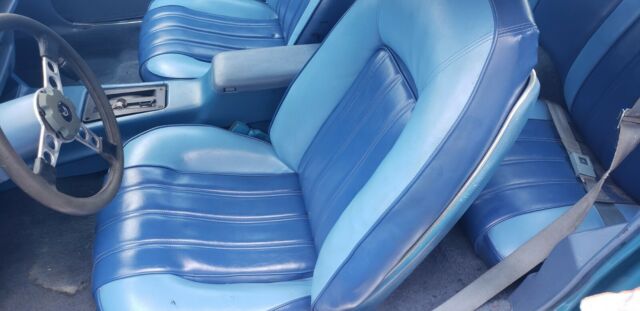1979 Pontiac Trans Am - photo 10
