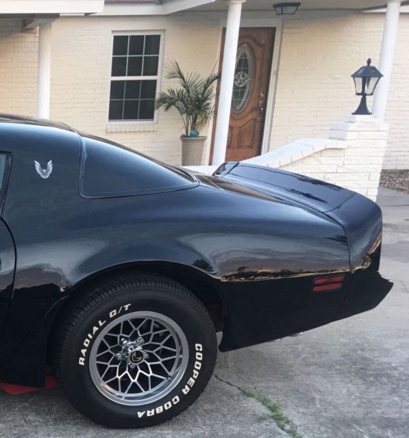 1979 Pontiac Firebird - photo 8