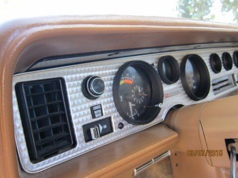 1979 Pontiac Trans Am FIREBIRD - photo 13