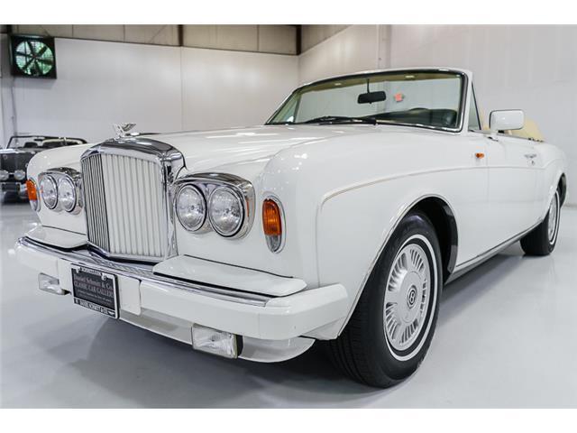 1989 Bentley Continental Convertible - photo 3