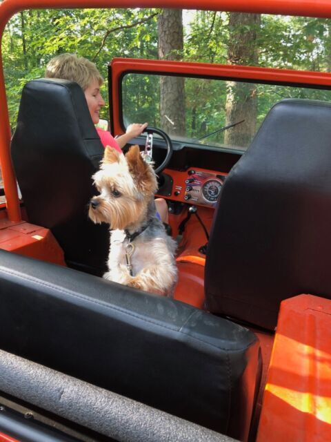 1976 Jeep CJ - photo 8