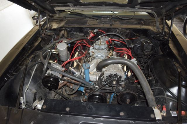 1979 Pontiac Trans Am WS6 - photo 13