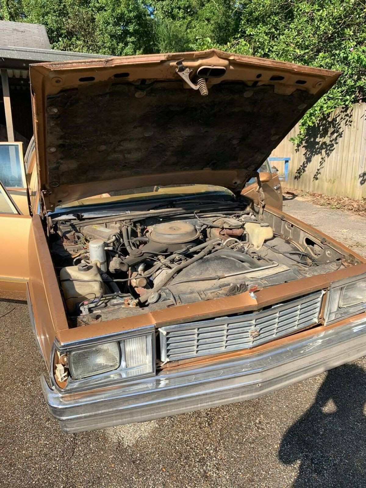 1980 Chevrolet Malibu - photo 8