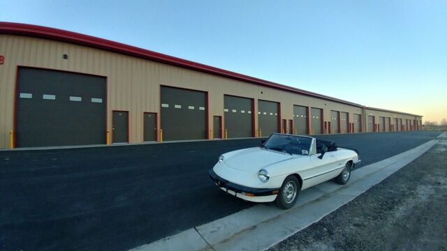 1986 Alfa Romeo Spider Graduate - photo 2