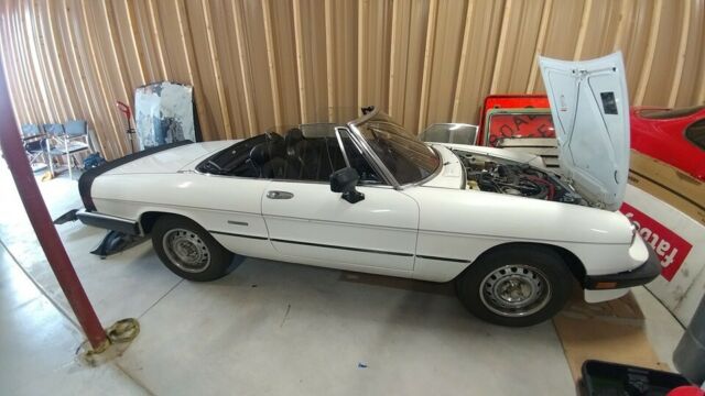 1986 Alfa Romeo Spider Graduate - photo 3