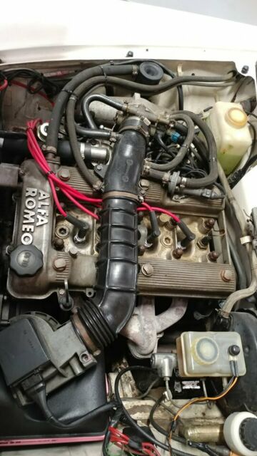 1986 Alfa Romeo Spider Graduate - photo 6