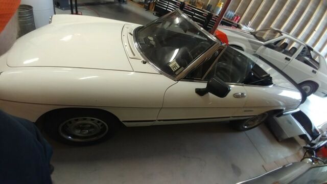 1986 Alfa Romeo Spider Graduate - photo 9