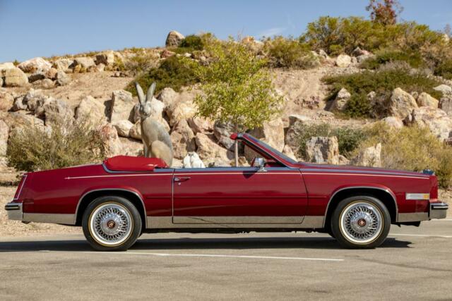 1985 Cadillac Eldorado CONVERTIBLE HIGHLY OPTIONED EXCEPTIONAL CONDIT - photo 4
