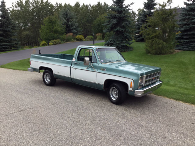 1978 GMC Sierra 1500 Sierra Classic - photo 7