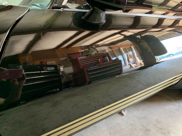 1981 Pontiac Trans Am - photo 11