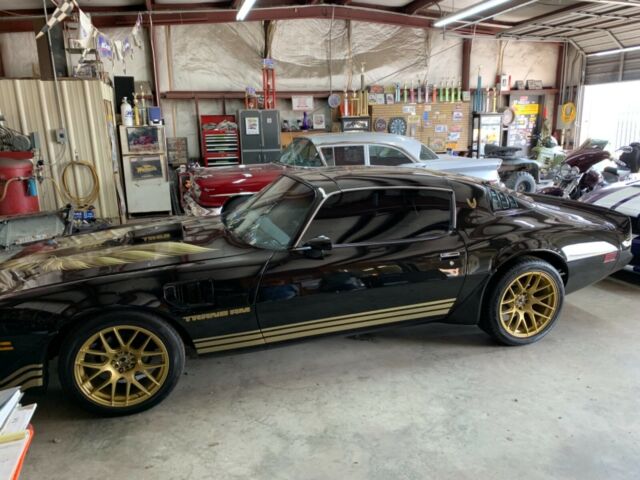 1981 Pontiac Trans Am - photo 2
