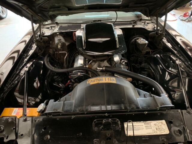 1981 Pontiac Trans Am - photo 3