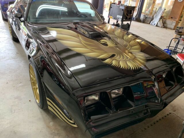 1981 Pontiac Trans Am - photo 5