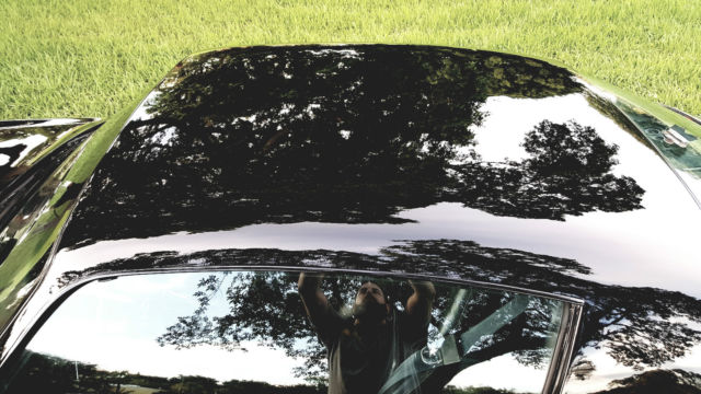 1981 Pontiac Trans Am - photo 10