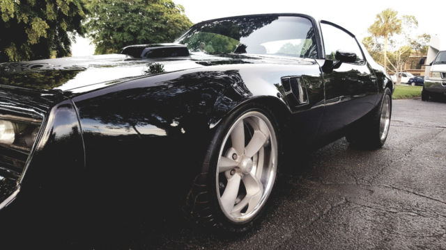 1981 Pontiac Trans Am - photo 11
