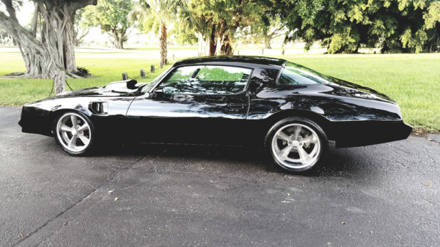 1981 Pontiac Trans Am - photo 5
