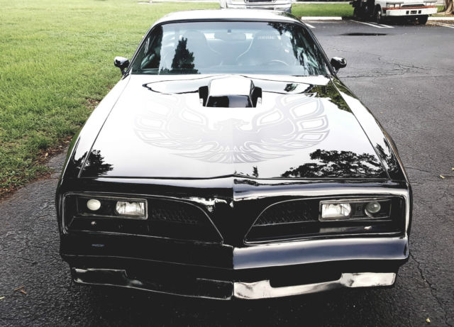 1981 Pontiac Trans Am - photo 8