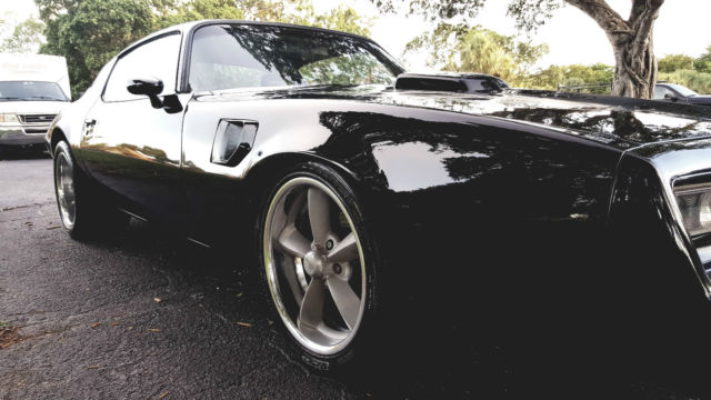 1981 Pontiac Trans Am - photo 9