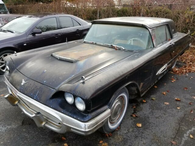 PROJECT - 1959 Ford Thunderbird (does not run, but all major parts are included) 1959 Ford Thunderbird
