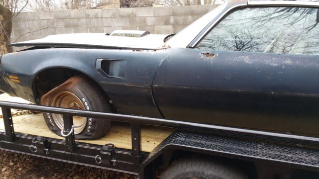 1979 Pontiac Firebird Trans am - photo 3