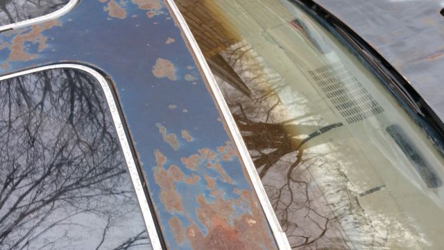 1979 Pontiac Firebird Trans am - photo 5