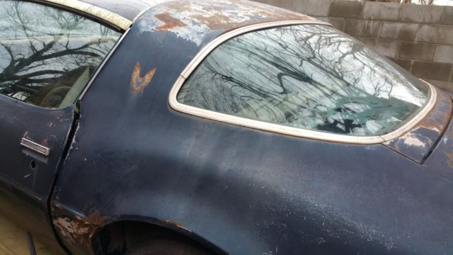 1979 Pontiac Firebird Trans am - photo 7