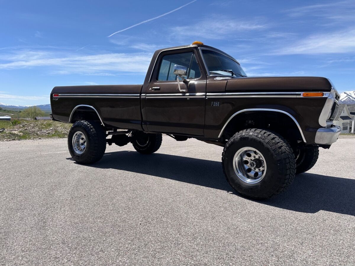 1976 Ford F-250 - photo 8