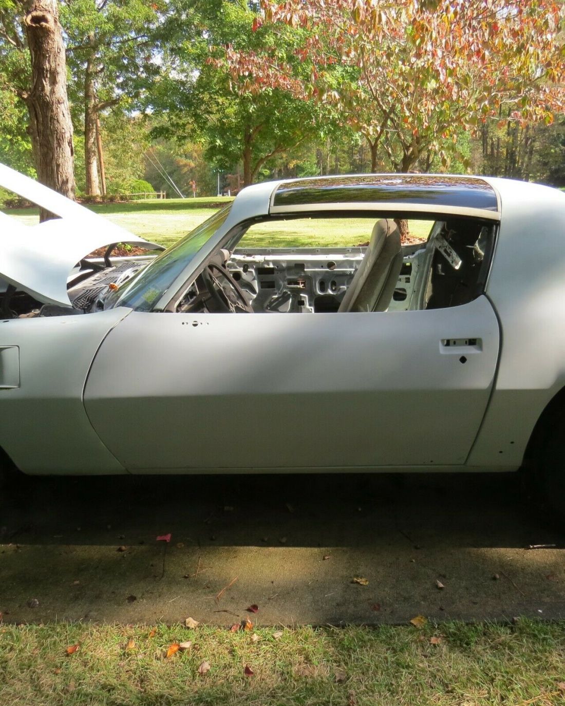 1979 Pontiac Trans Am - photo 11