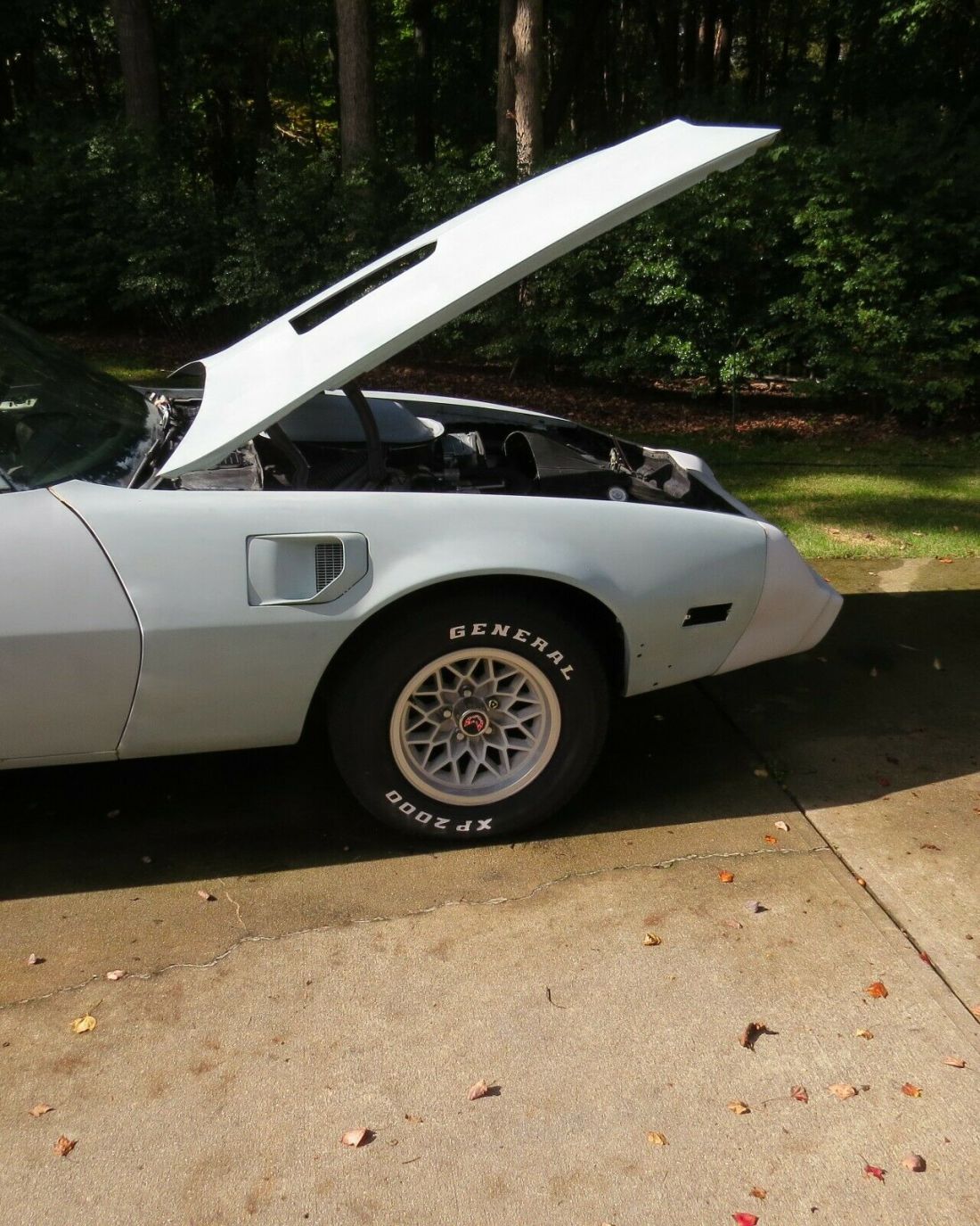 1979 Pontiac Trans Am - photo 3