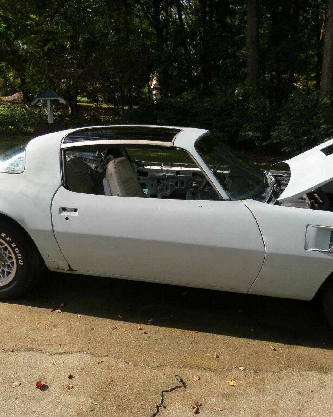 1979 Pontiac Trans Am - photo 4