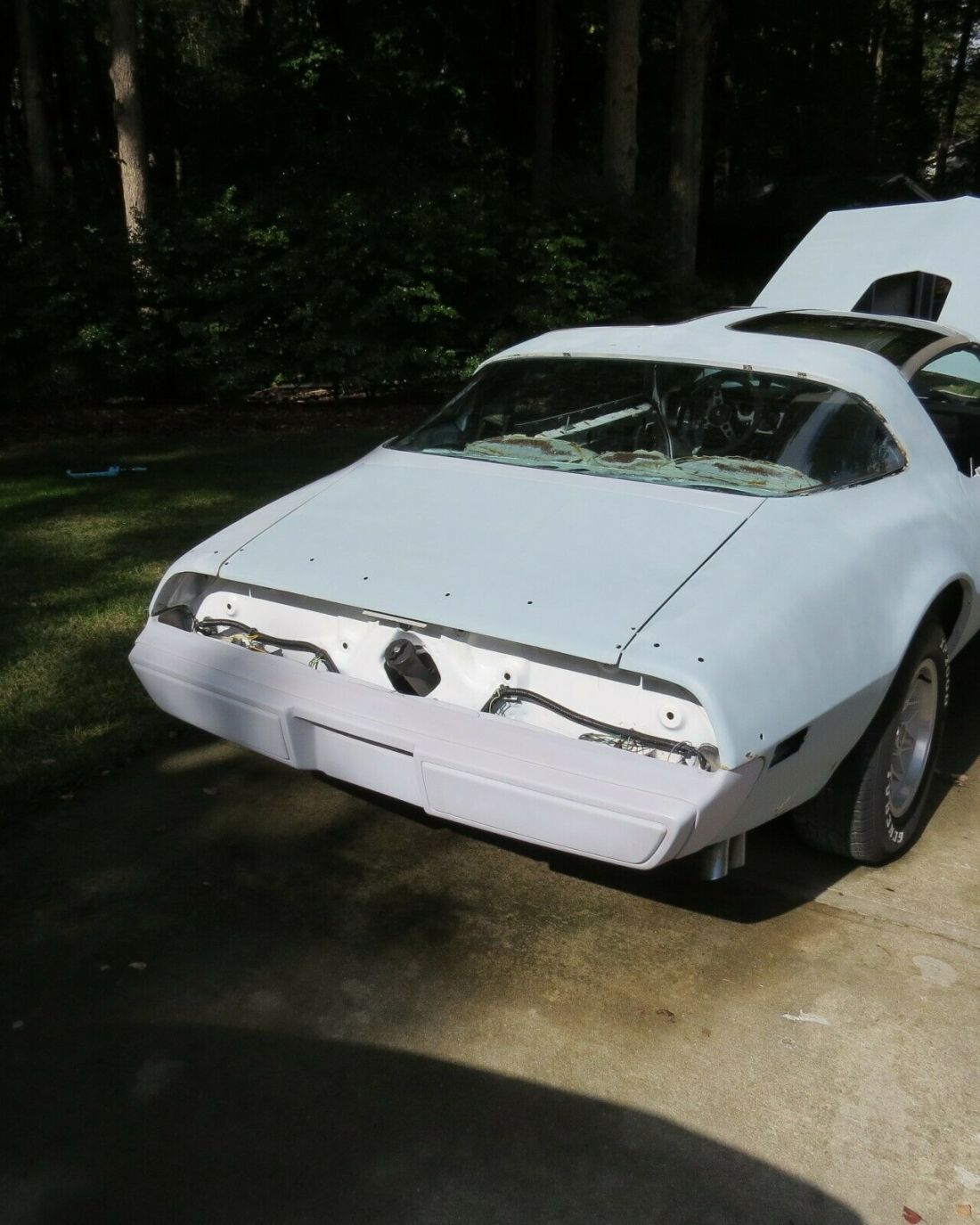 1979 Pontiac Trans Am - photo 8