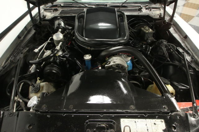 1979 Pontiac Firebird Trans Am 10th Anniversary Edition - photo 4