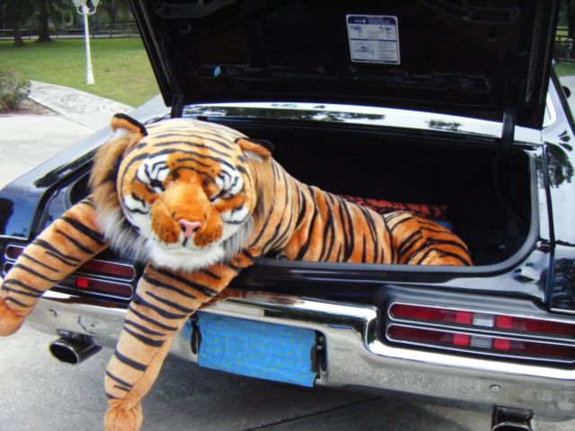 1969 Pontiac GTO - photo 9