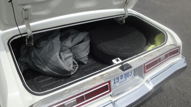 1974 Chevrolet Caprice CONVERTIBLE - photo 9