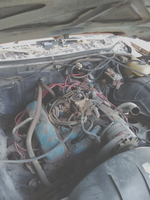 1974 Pontiac Le Mans Sports Coupe - photo 12