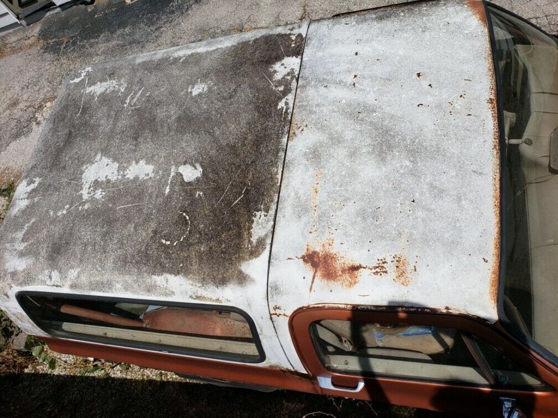 1977 Chevrolet Blazer - photo 5