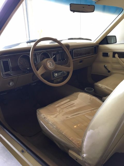 1978 Ford Fairmont Futura - photo 7