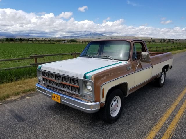 1979 GMC Sierra 2500 ROYAL Sierra, 1 of 500 built! - photo 3