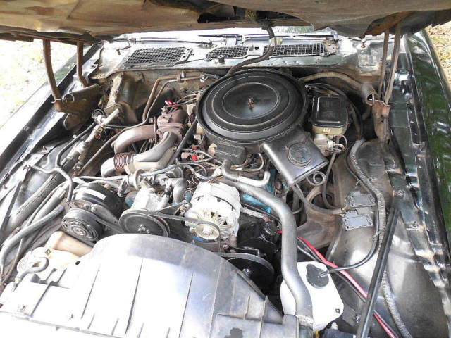 1981 Pontiac Trans Am Turbo Trans Am - photo 11