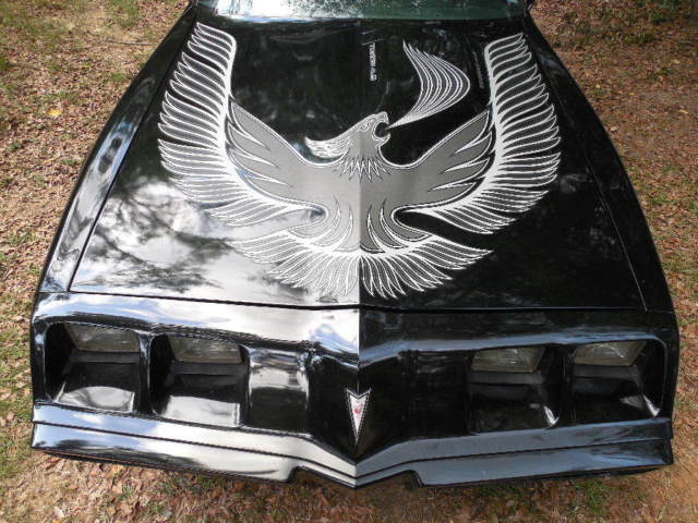 1981 Pontiac Trans Am Turbo Trans Am - photo 2
