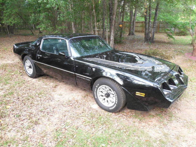 1981 Pontiac Trans Am Turbo Trans Am - photo 3