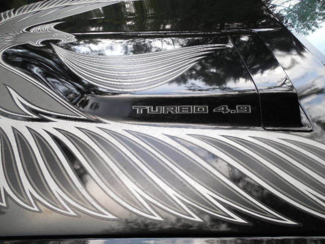 1981 Pontiac Trans Am Turbo Trans Am - photo 4