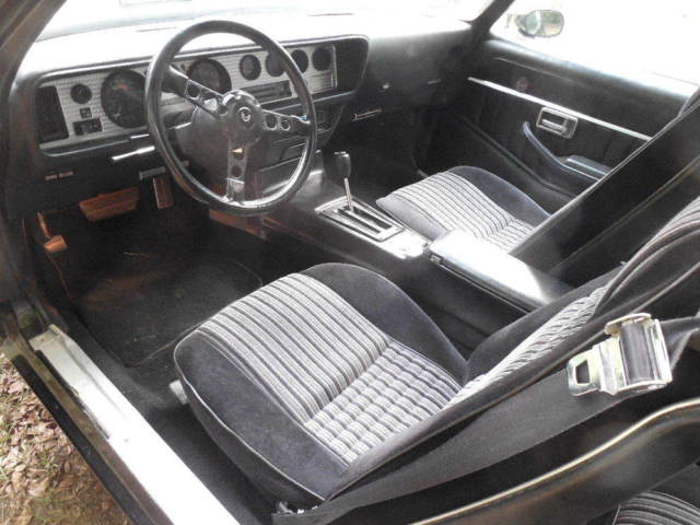 1981 Pontiac Trans Am Turbo Trans Am - photo 5