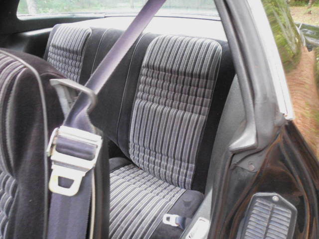 1981 Pontiac Trans Am Turbo Trans Am - photo 8