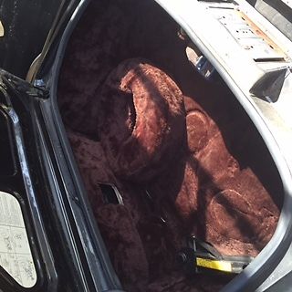 1981 Cadillac Eldorado 2dr Coupe - photo 9