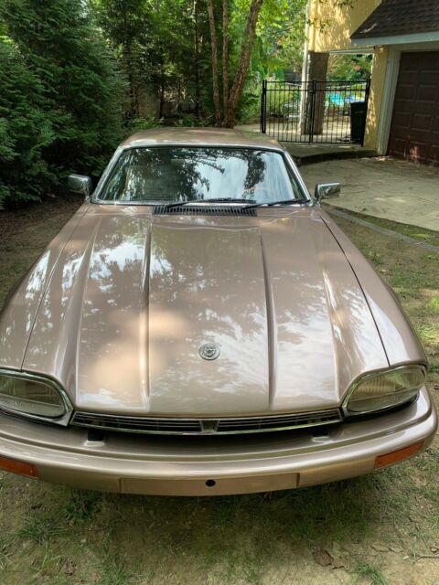 1984 Jaguar XJS Coupe - photo 5
