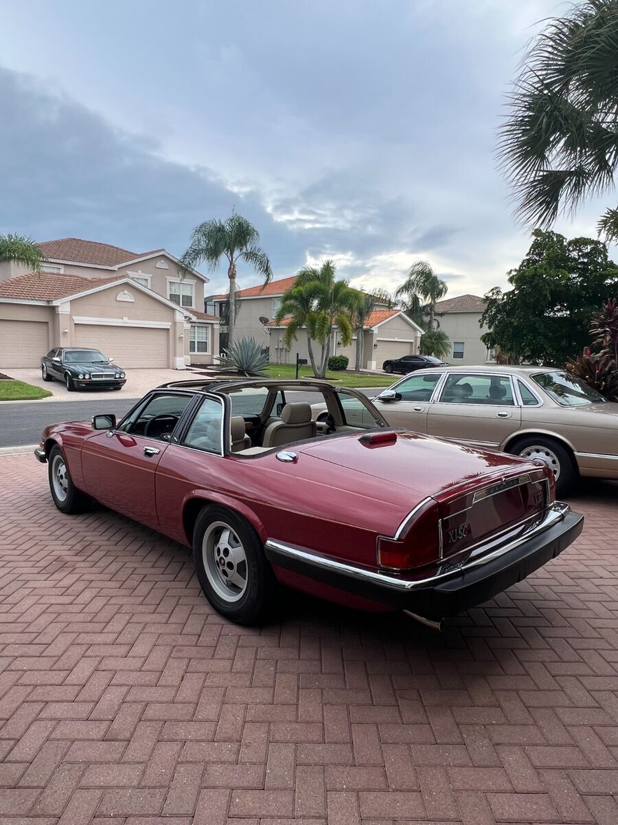 1987 Jaguar XJS XJSC - photo 10