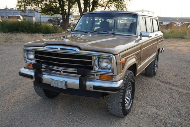 1990 Jeep Wagoneer Wagoneer - photo 12