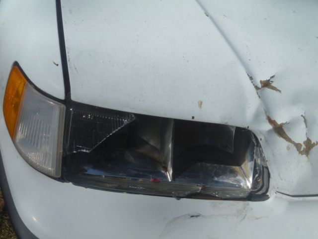 1991 Honda CRX HF - photo 6